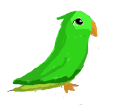 Green Parakeet ##STADE## - coat 1340000003